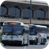 NJ Transit fleet images